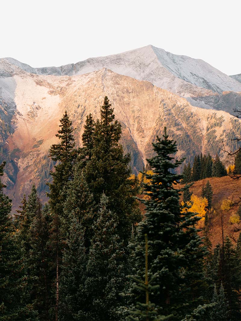 home-single-image-2 m